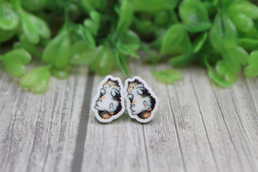 Calico Cat • Stud Earrings